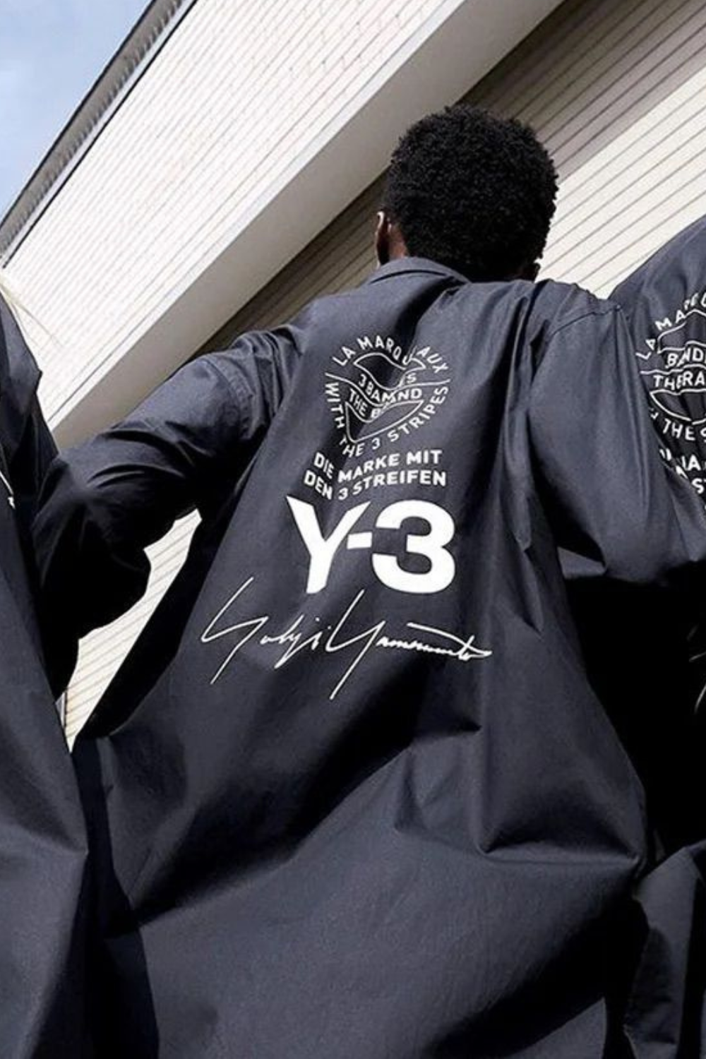 y-3