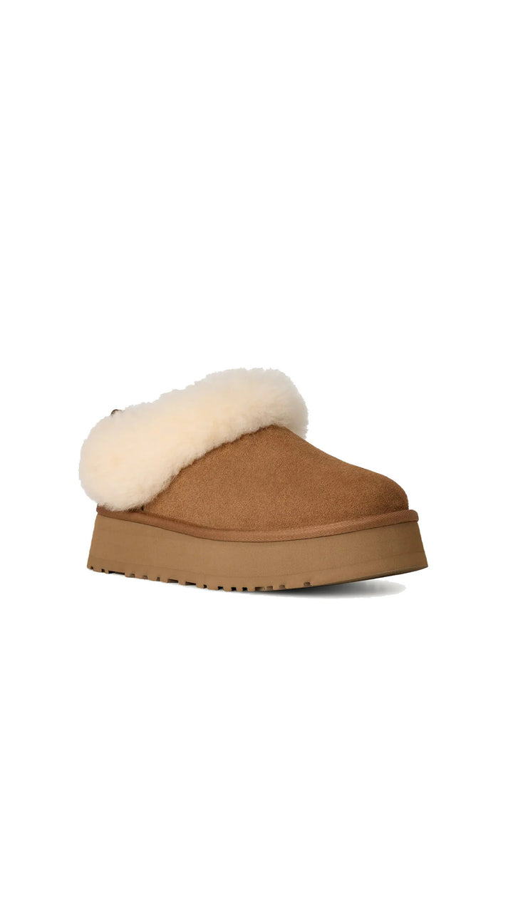 UGG WOMEN'S TAZZELLE CHESTNUT מגפי נשים טאזל חום